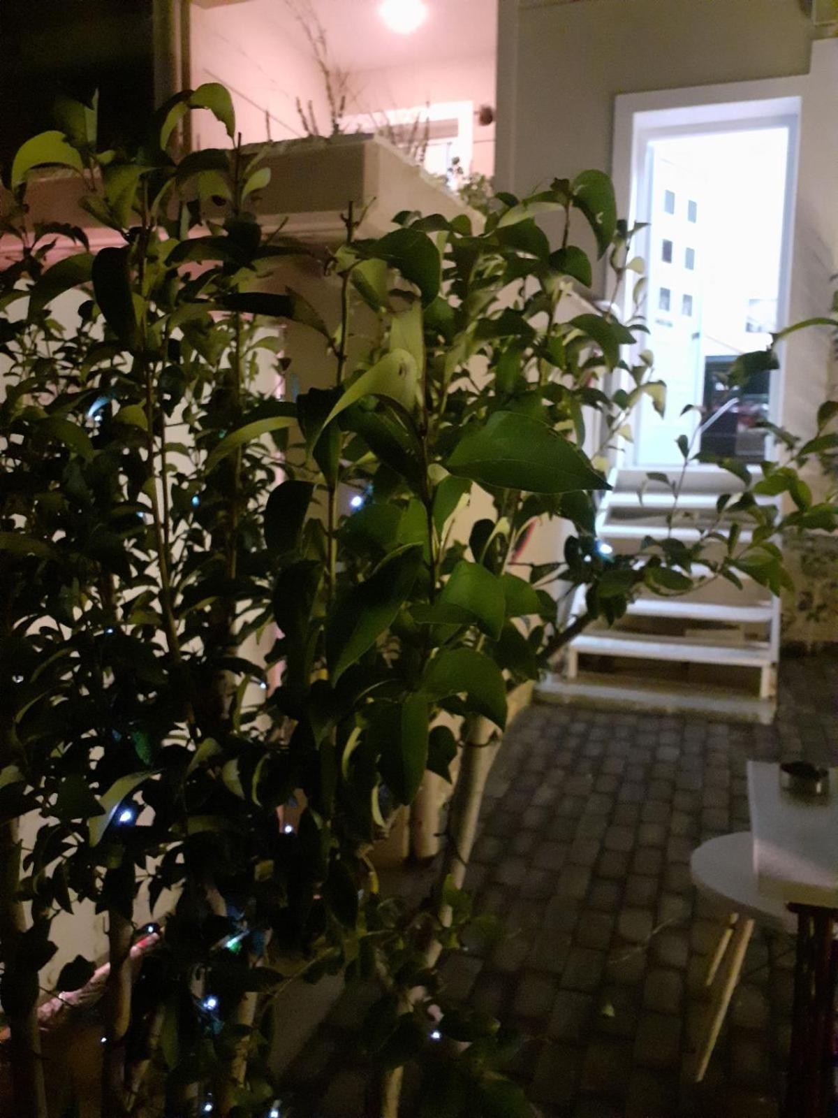Villa Exostis Nauplia Esterno foto